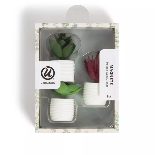 U Brands 3ct Succulent Plant Magnets